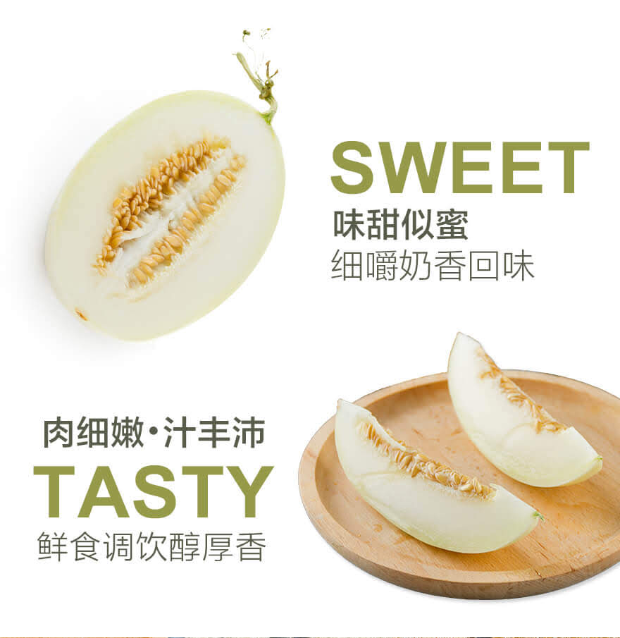 东方福利网-山东白金蜜瓜4个500g以上/个