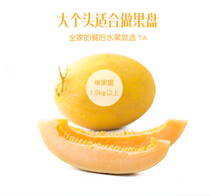 -ʺ۹11.9kg/