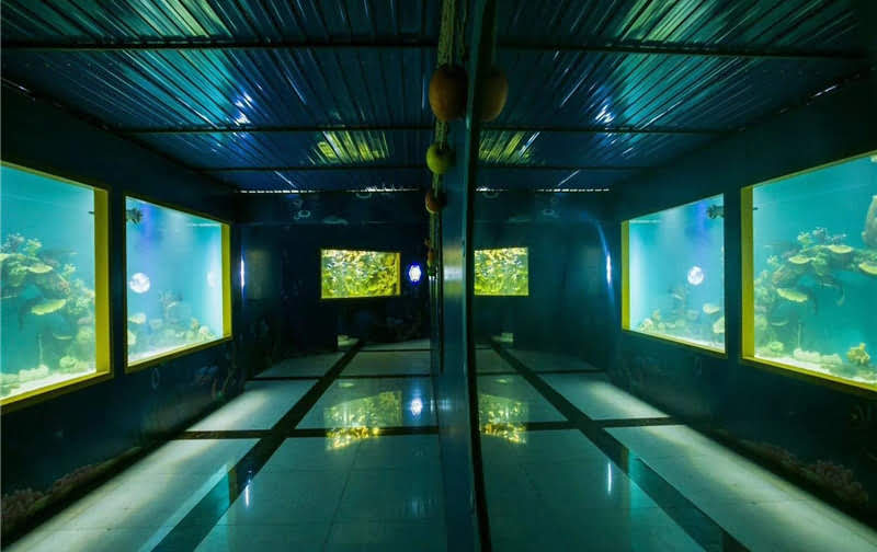 大湾海洋世界