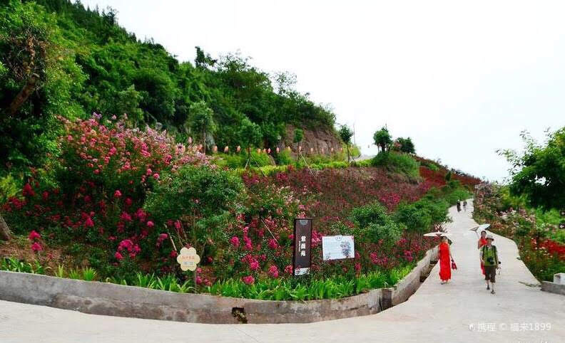 开州盛山植物园