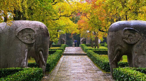 樟树市风景,樟树市,樟树市_大山谷图库
