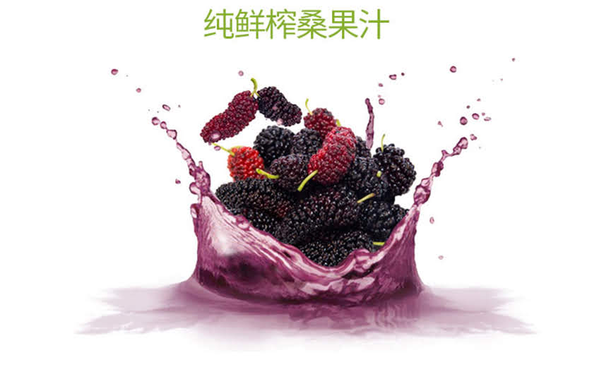 宝桑园 260ml*12 玻璃瓶 桑果汁