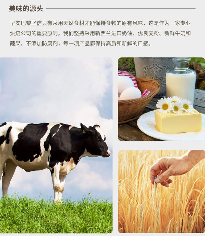 【bonmatin 早安巴黎】雪霜红莓大蛋糕