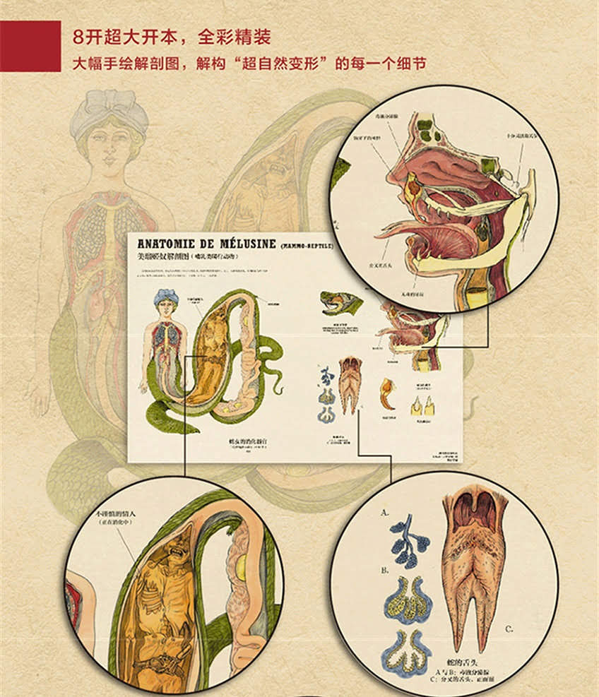 超自然动物变形图鉴PDF图片