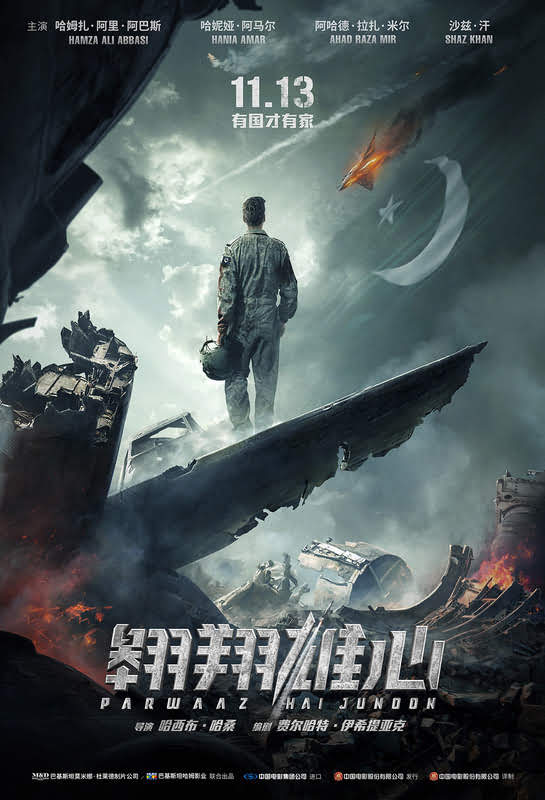 东方福利网 杭州-翱翔雄心购票/剧情介绍/演员阵容