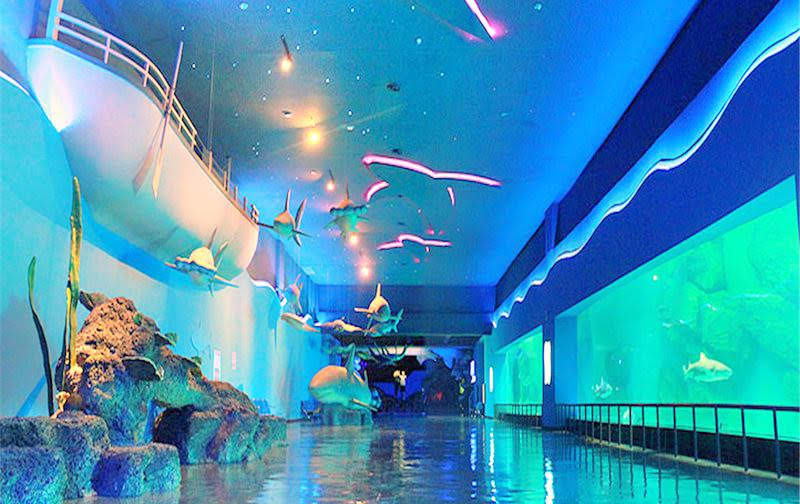 泉城海洋极地世界一日游【双数人定可享受优惠活动价格,人数较多可