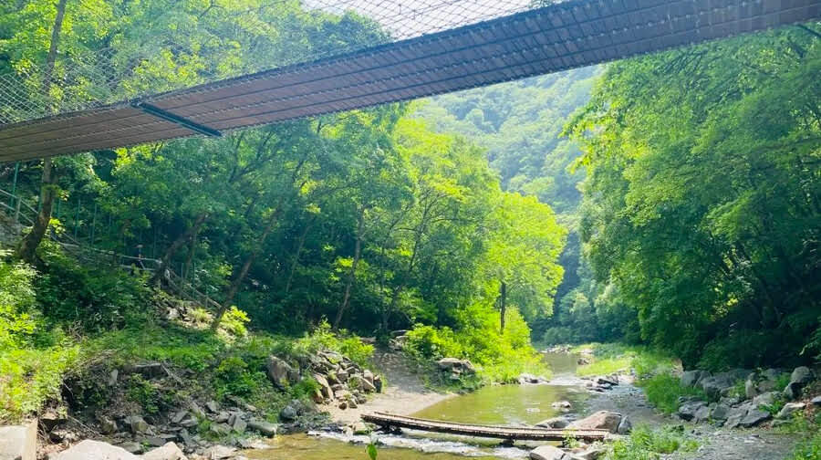 筐子沟生态风景区一日游【七彩吊桥，天然瀑布】