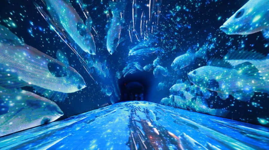 99起查看详情景点门票原价票价【单票】时光穿越梦幻馆门票不限人群