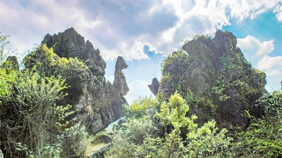 龙马山生态旅游度假区图片