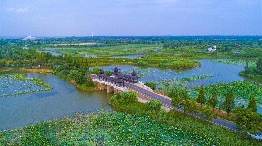 泗洪县洪泽湖湿地公园图片