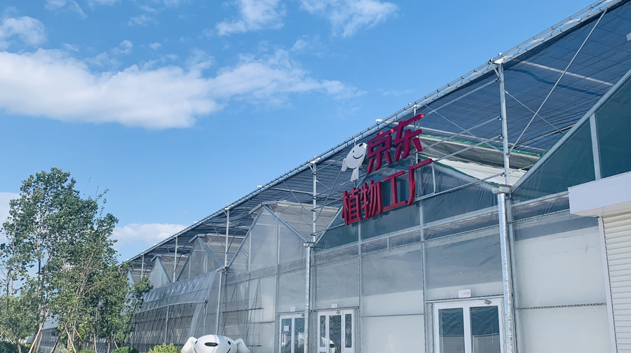 京东植物工厂开放时间:全年 周六-周日 09:30-12:30,13:30-16:30地址