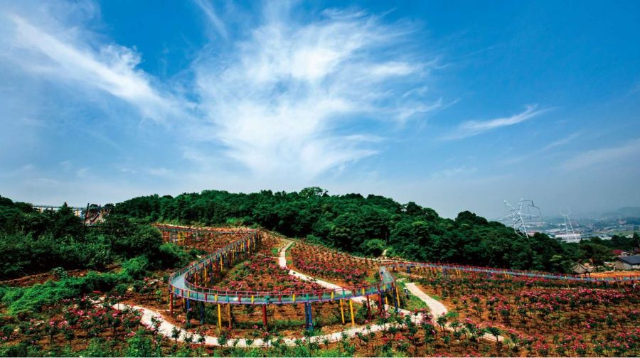 重庆红岭溪谷开放时间:7/16-8/26 16:00-22:00;   说明:(可能根据天气