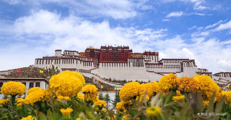 西藏拉萨布达拉宫一日游【布达拉宫+大昭寺】