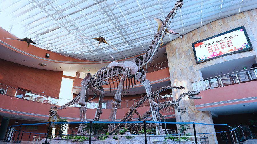 广东河源恐龙博物馆+亚洲第一高喷泉+巴伐利亚庄园一日游【亲子游· 看恐龙化石· 巴伐利亚异域风情】