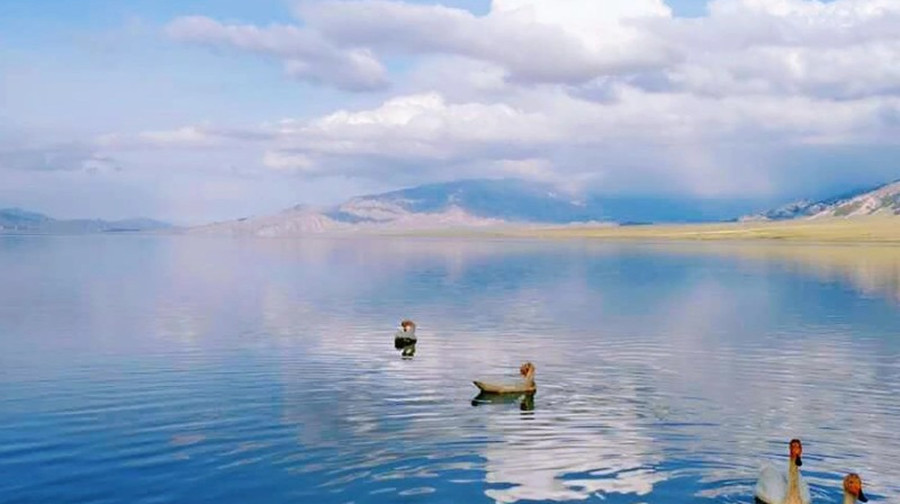 新疆赛里木湖一日游【赛里木湖月亮湾、点将台、天鹅乐水、克勒涌珠/1人起发】